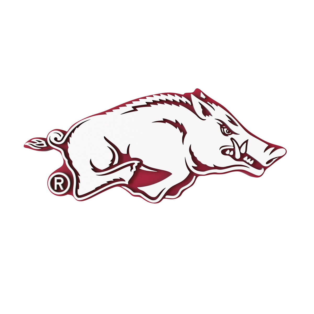 Budz | Arkansas Razorbacks image 1